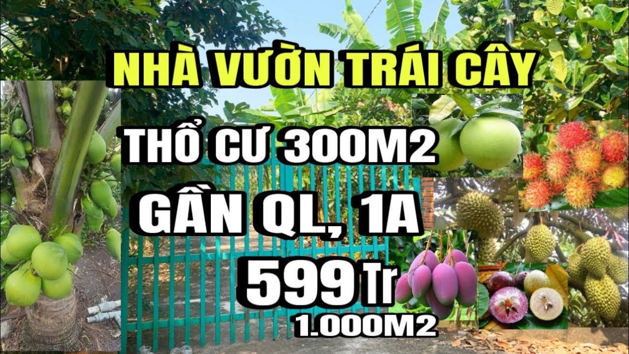 Chính chủ cần bán gấp, Nhà vườn đủ loại trái cây, thổ cư 300m2, gần QL 1A, huyện xuân lộc cũ
