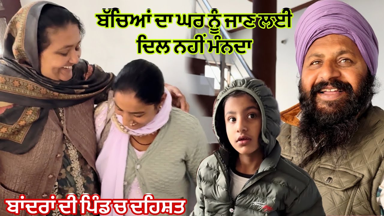ਲੰਗੂਰ🐒🐒ਨੂੰ ਸਰਕਾਰੀ ਨੌਕਰੀ//ਬੱਚਿਆਂ ਨਾਲ ਘਰ ਚ ਰੌਣਕ@karanmahalvideo 