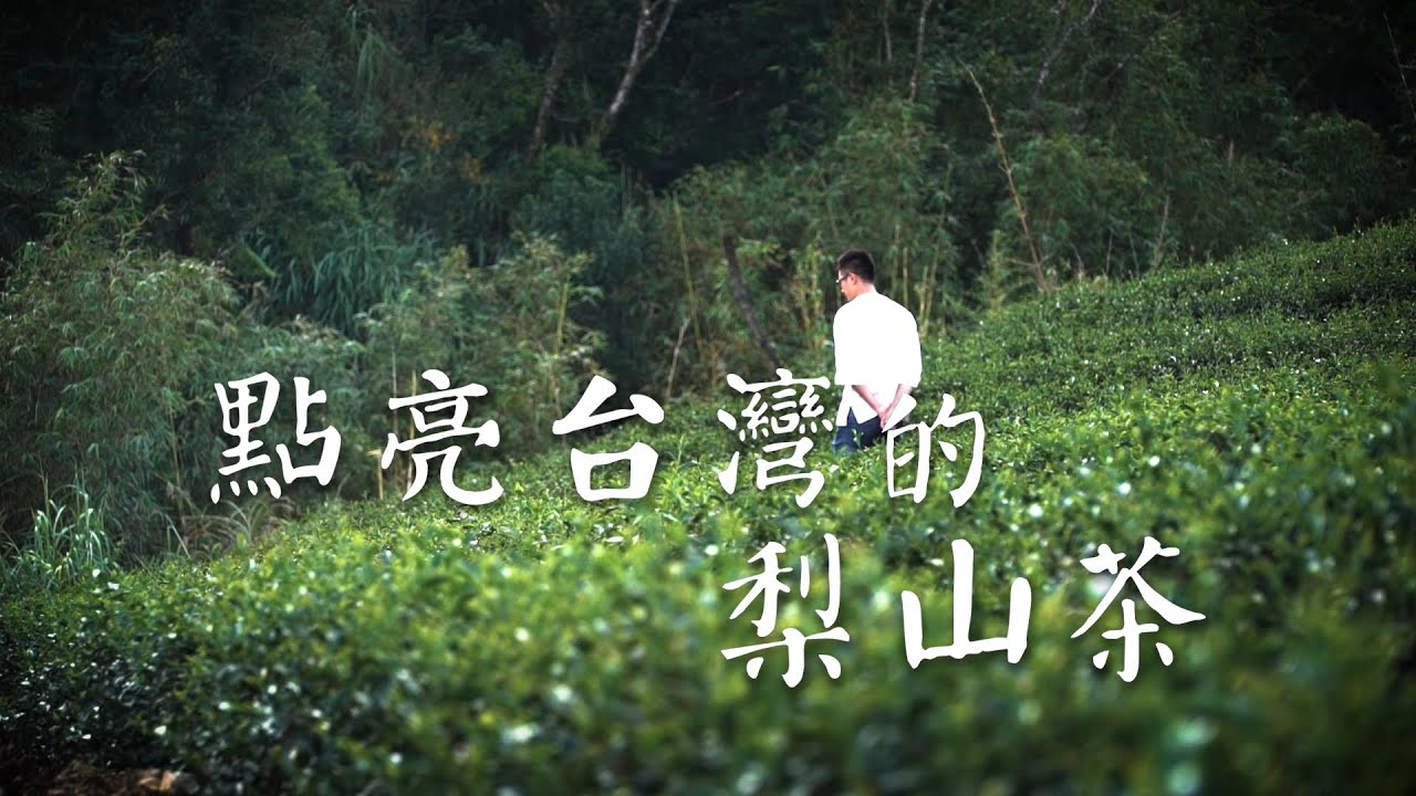 【台灣茶路】大茶農時代~點亮台灣的梨山茶「梨山陳孟智」