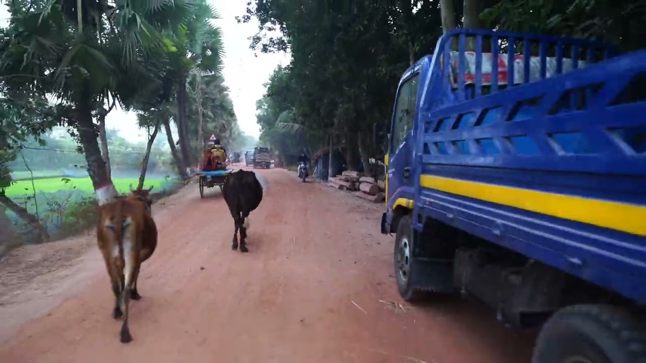 সাব্বির এবং রূপালীর হলুদ সন্ধ্যা পার্ট-২!পতিসর,আত্রাই নওগাঁ