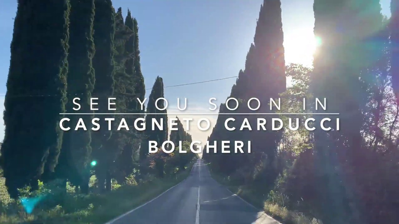 Viale dei Cipressi - Bolgheri - Tuscany