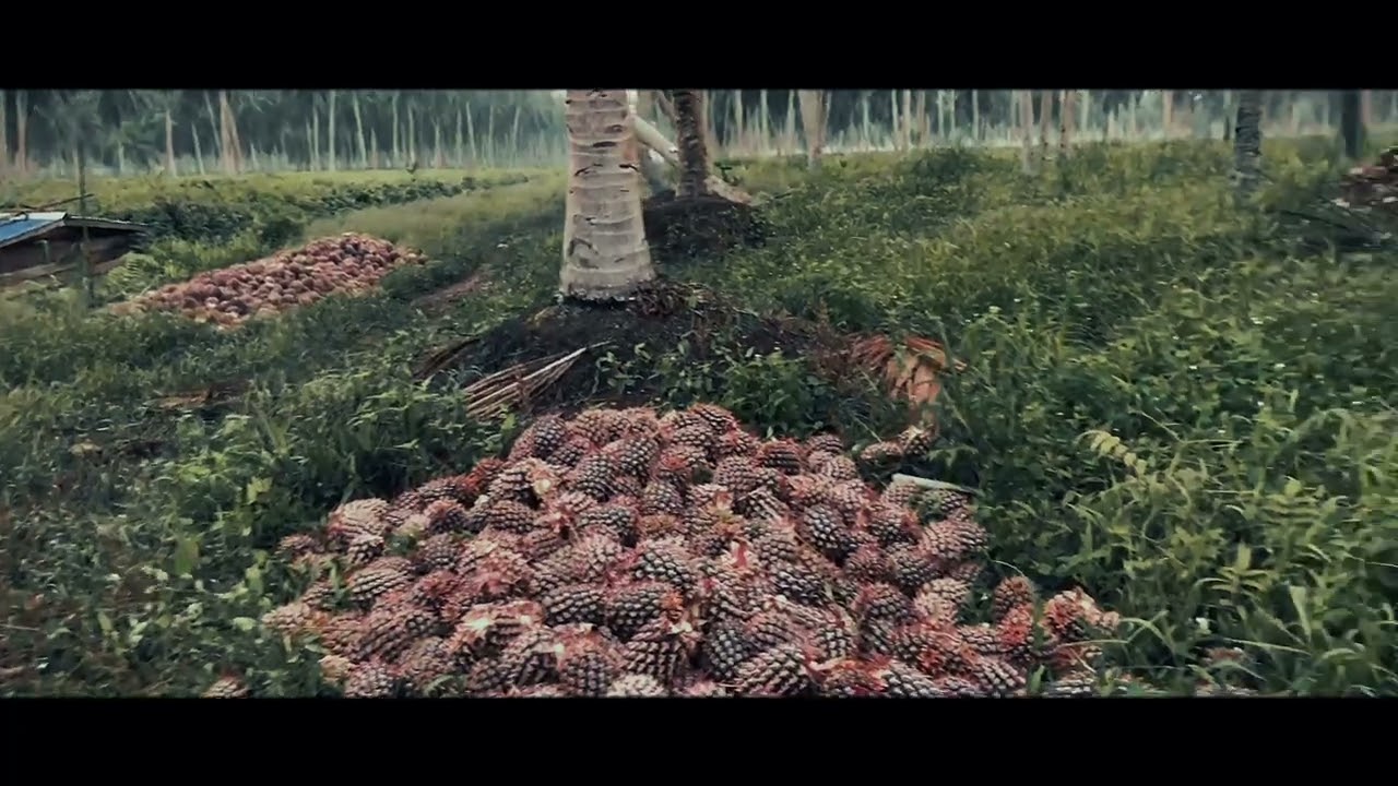 #cinimetictrailer RIAU P. BURUNG