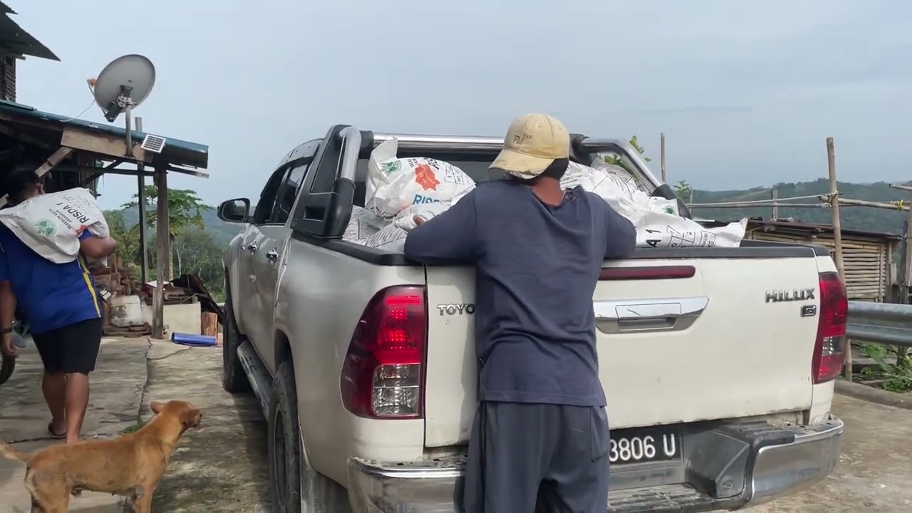 Fertilizer for Rubber Tree. Coconut! Mendapat Projek Baja Getah daripada RISDA. 3.8 Tan Kesemuanya.