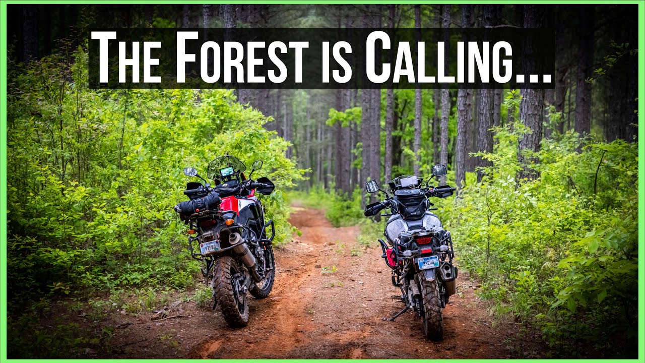 Offroad on the Africa Twin and V-Strom - Raw Sound and Footage