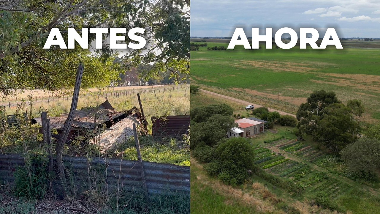 De terreno abandonado a huerta I Planes a futuro y avances de la refacción de nuestra futura casa