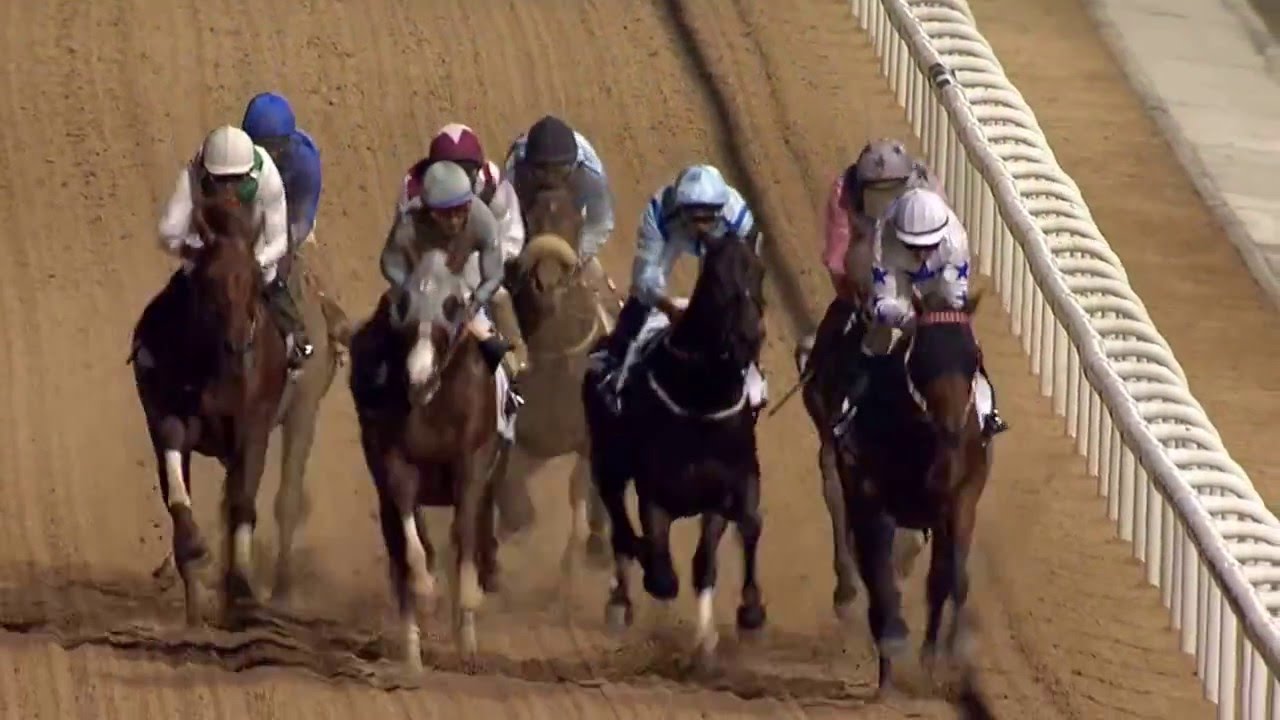 DWCC Meydan Racecourse 25-2-16, Race 6 Trans Gulf Electromechanical Trophy Handicap