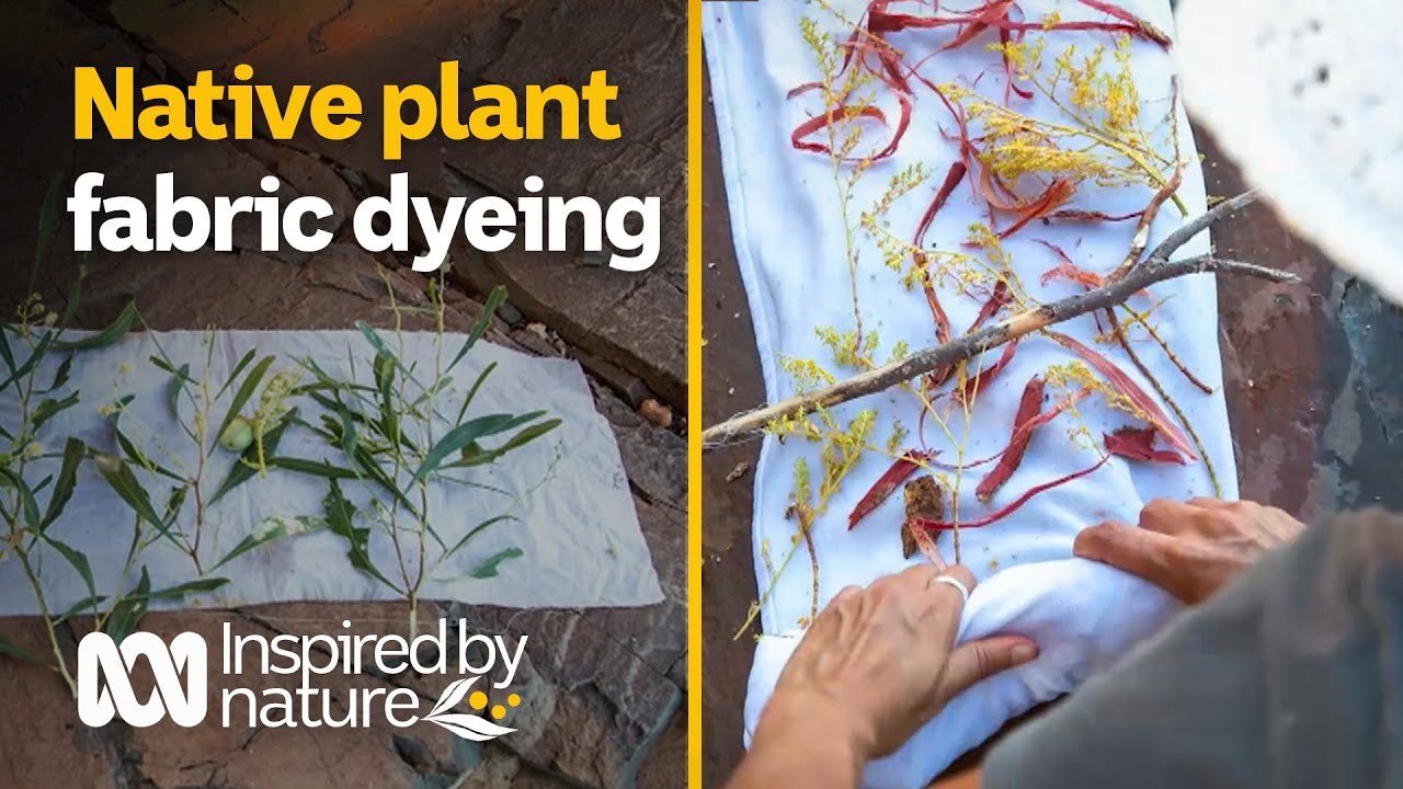 Artist explains natural bundle dyeing technique | Inspired by nature | ABC Australia