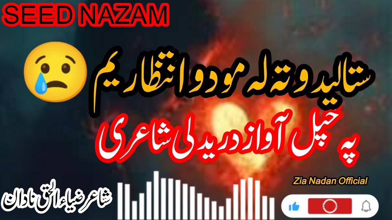 غم دی زه کوم او ته راته خاندې |Zia Nadan Official 🎙️#غمجنه ترانه #غمجن نظمونه #viralvideo #seedlings