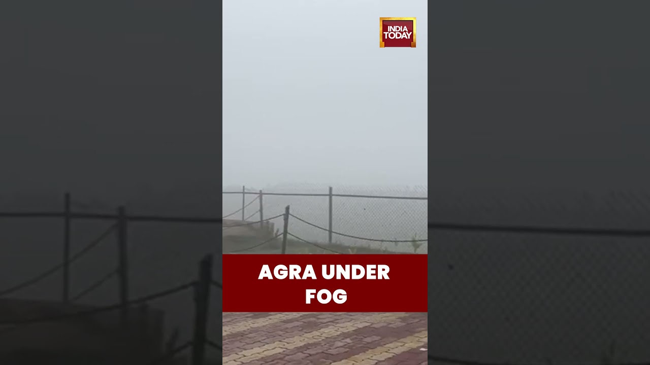Agra Foggy Morning: Dense Fog Covers City as IMD Records 9&deg;C Minimum | #agra #coldwave