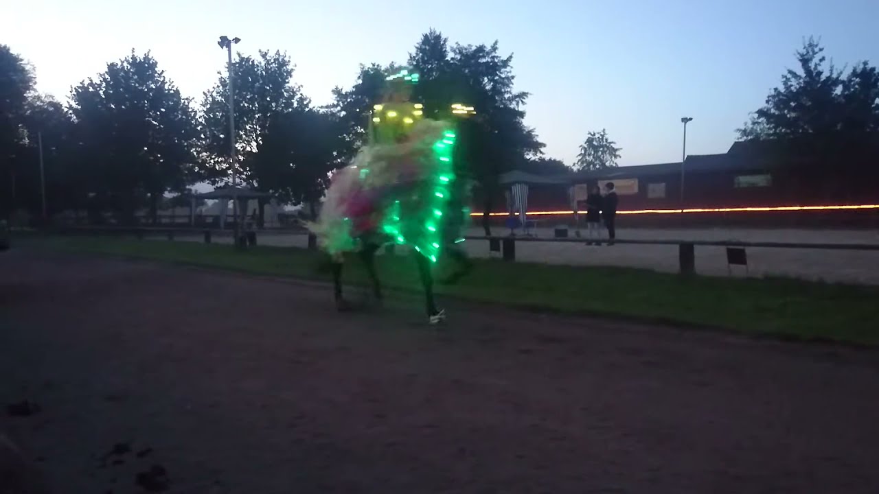 Mitternachtstölt OSI Grenzdyck 2016