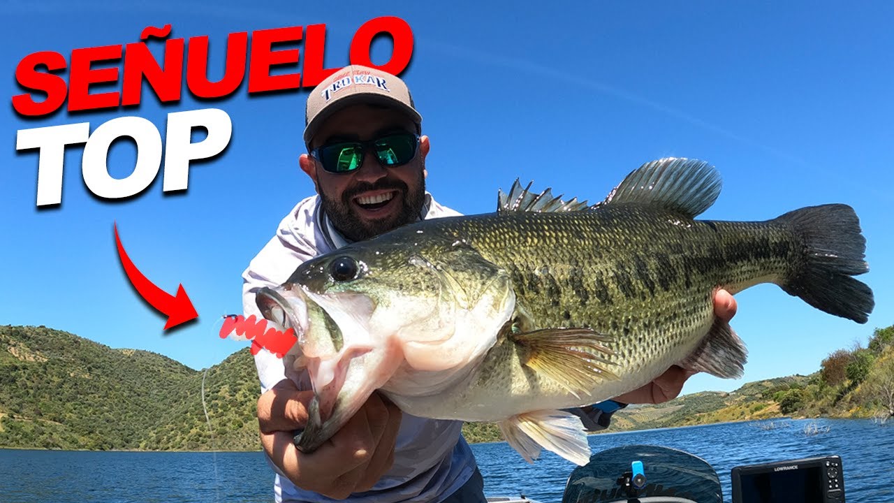 CON este SEÑUELO pesqué los BASSES MÁS GRANDES!