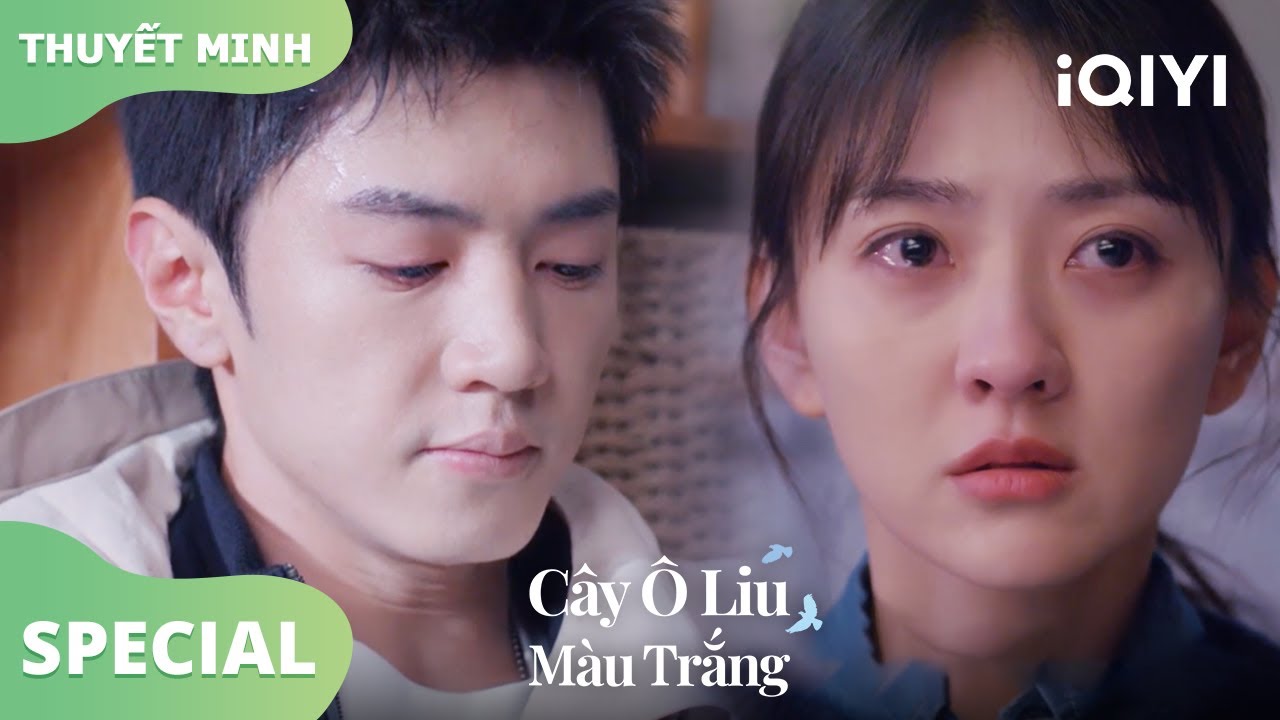 Lý Toản và Tống Nhiễm cãi nhau | Cây Ô Liu Màu Trắng13-15 | iQIYI Vietnam