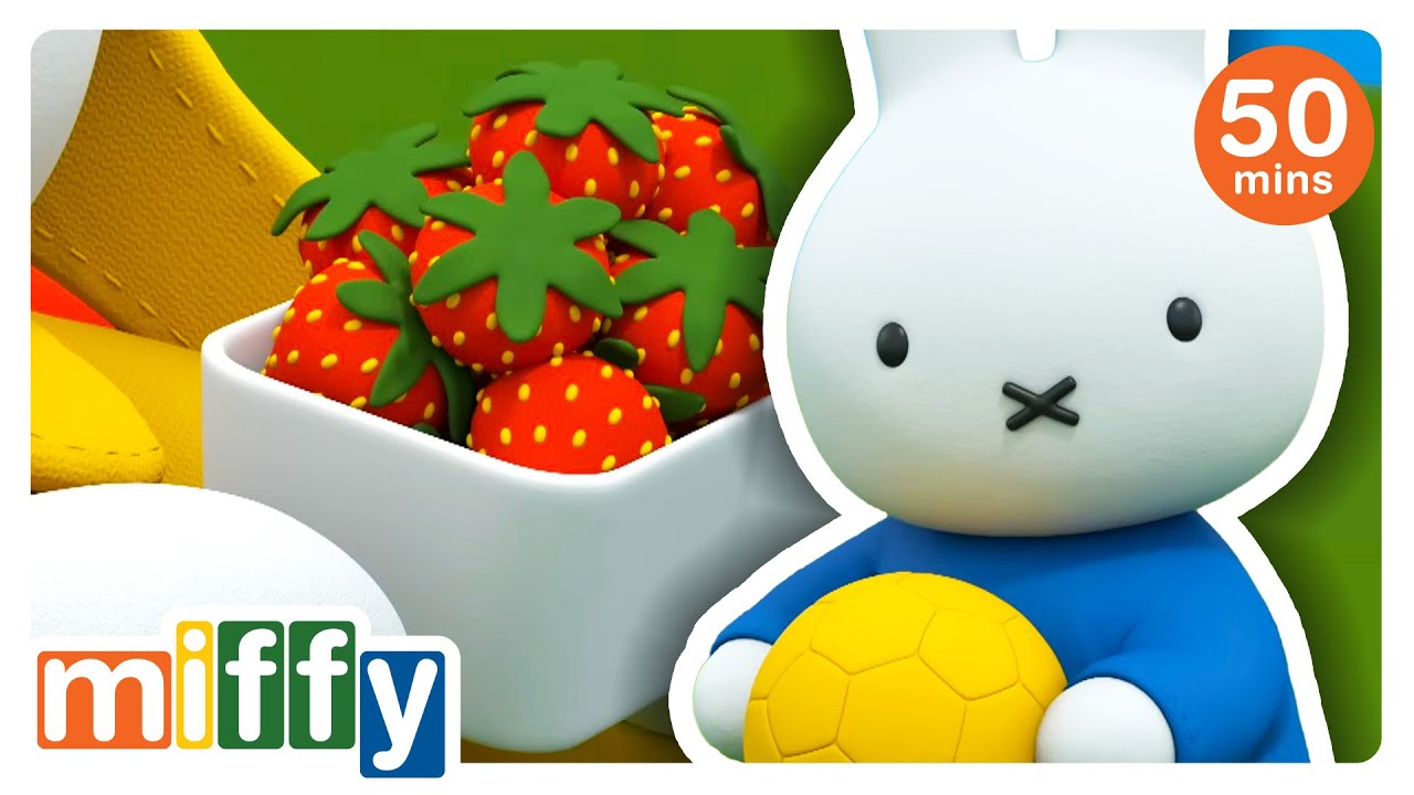 Miffy Picks Fresh Strawberry’s!! | Miffy | Cartoons for kids