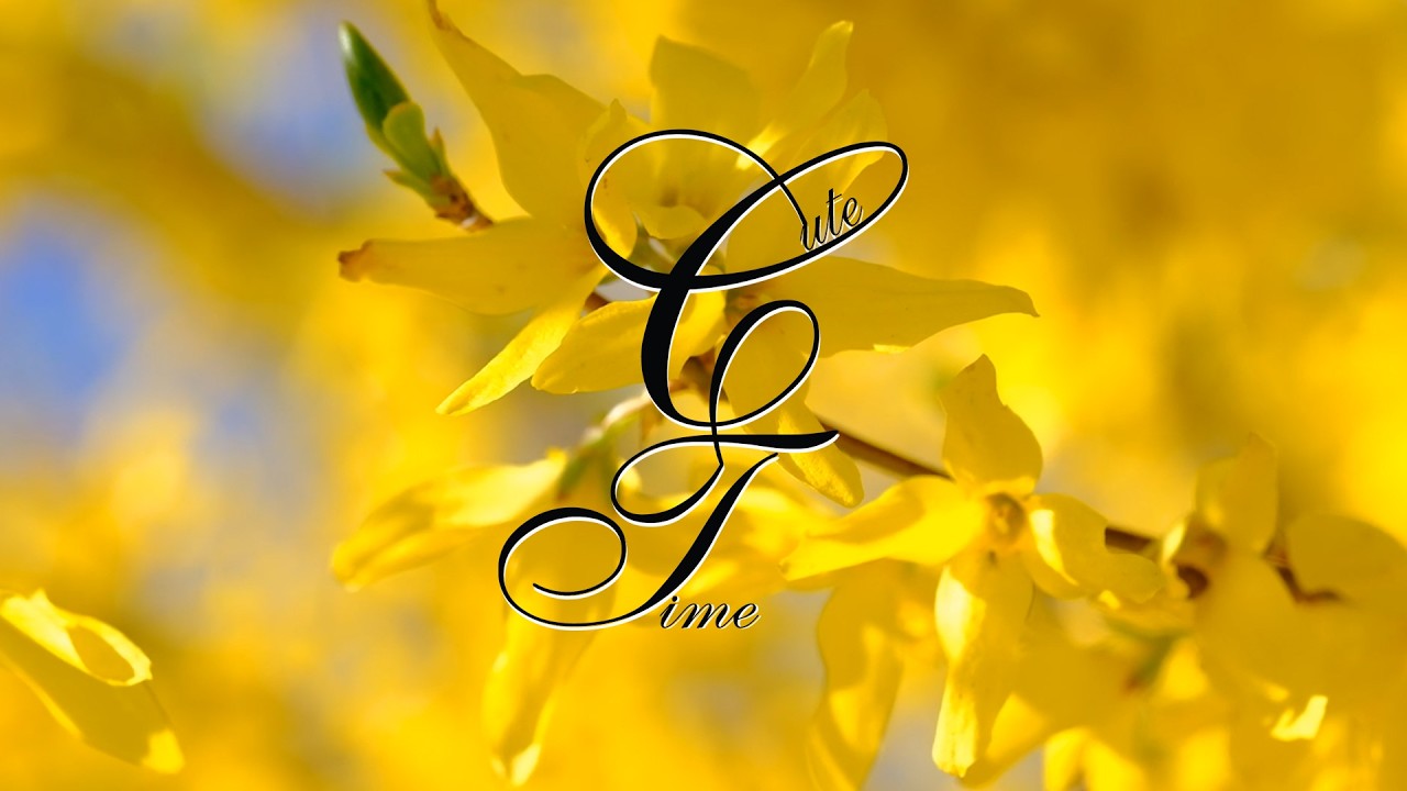 Nature Relax : Cute Time : Relaxing and Soothing Music