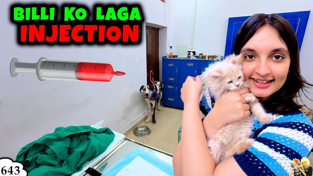 BILLI KO LAGA INJECTION | Ep 643 | Cookie ka vaccination | Aayu and Pihu Show