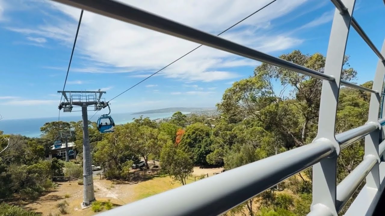 A Day at The Arthurs Seat Eagle | Mornington Peninsula Adventure