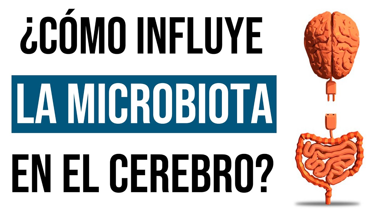 Relación de la Microbiota intestinal con las Enfermedades Neurodegenerativas - (Marta Alonso)