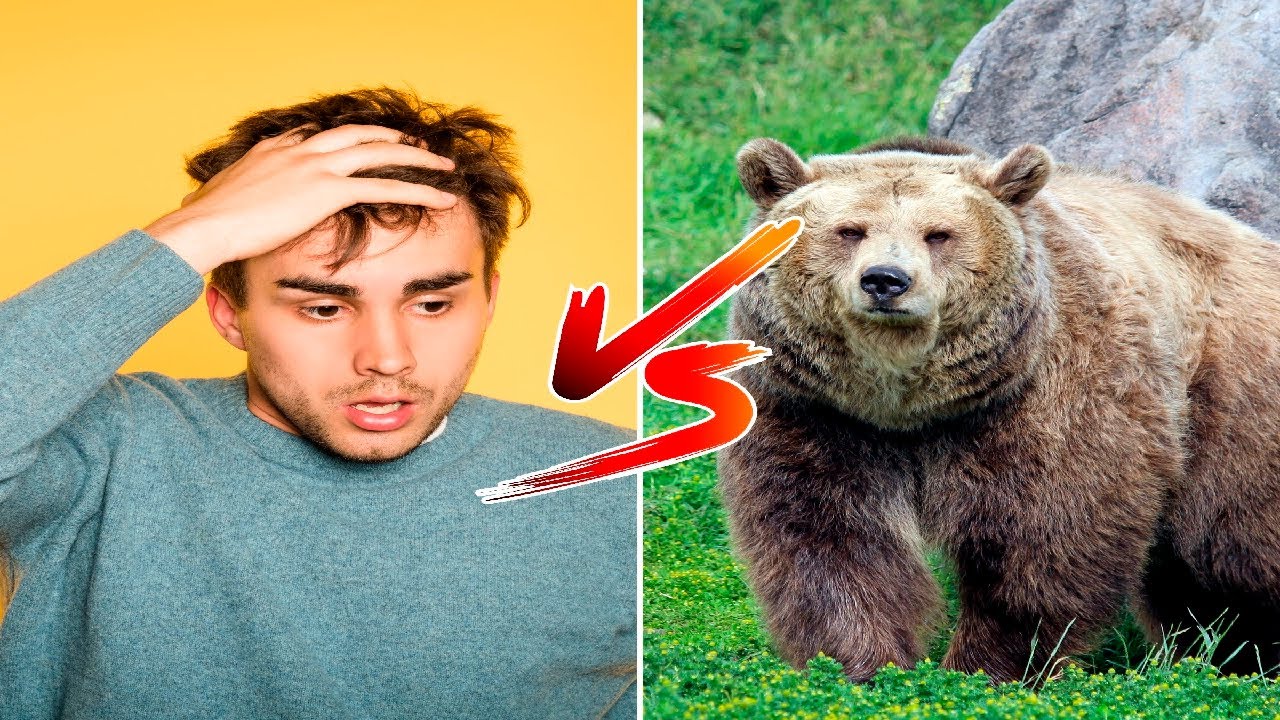 The Man vs Bear Debate