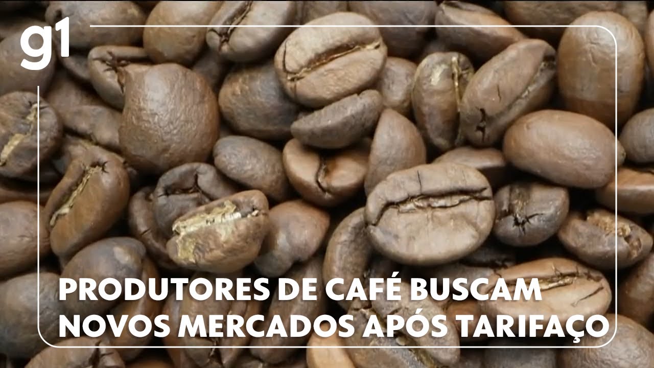 Produtores de café do Brasil buscam novos mercados após tarifaço dos EUA