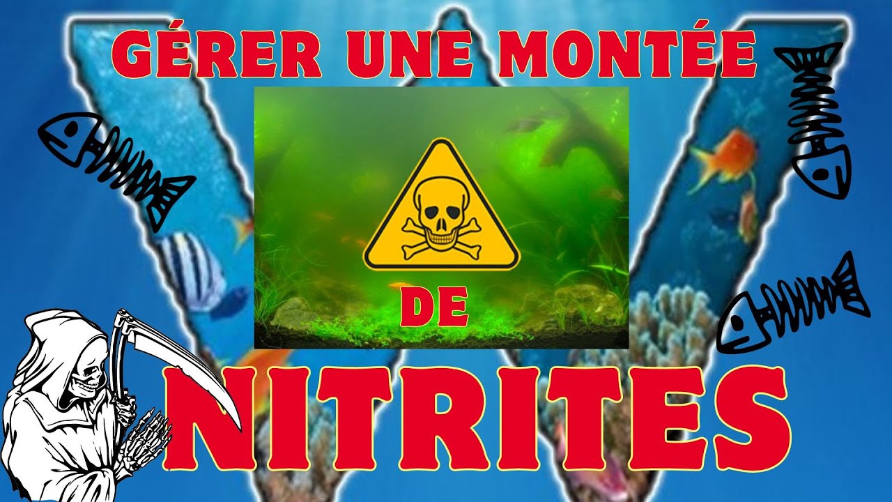 Gérer une montée de nitrites