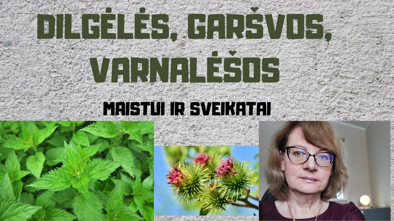 Dilgėlės, gar&scaron;vos, varnalė&scaron;os | Maistui ir sveikatai