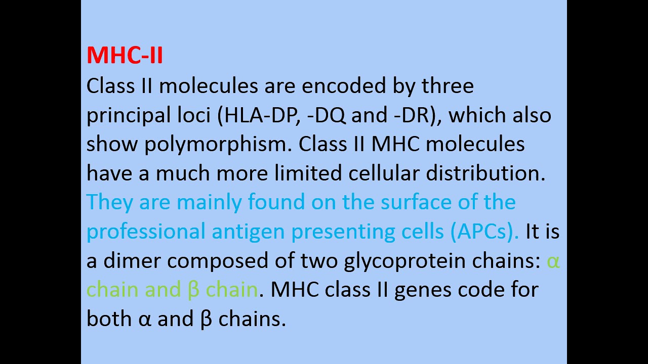 MHC and transplantation - By Dr. Noha Saber