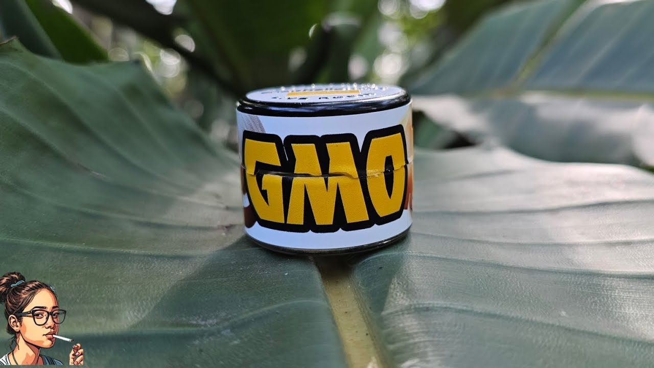 GMO Live Rosin | ShopHelloMary