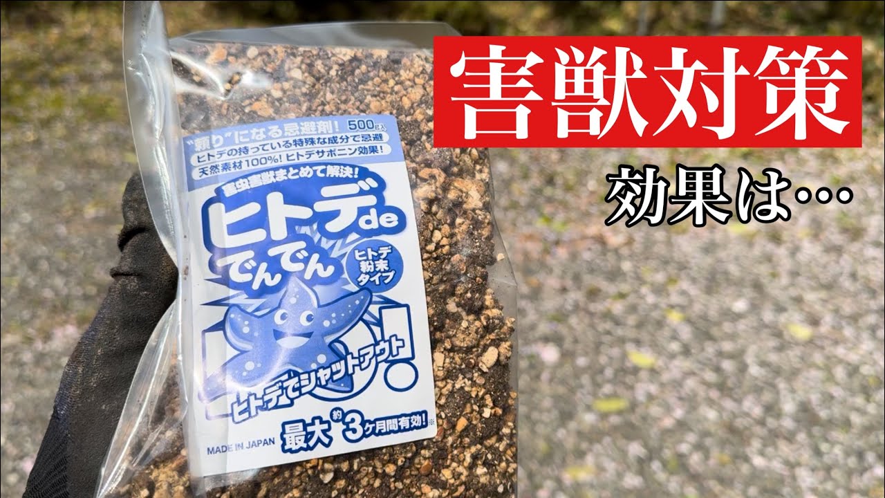 自然由来の害獣忌避剤を使ってみました