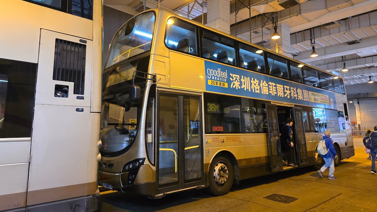 (女車手配RJ蛋){ 養老線一條 🤧}[] * 原速 *KMB 36M(葵芳站總站→梨木樹邨公共運輸交匯處☘️ 4K 下層展望 ☘️10 min完賽!