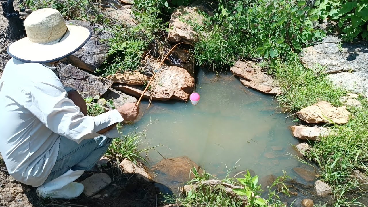 PESCARIA QUE VAI PARA HISTÓRIA NA VARINHA DE BAMBU