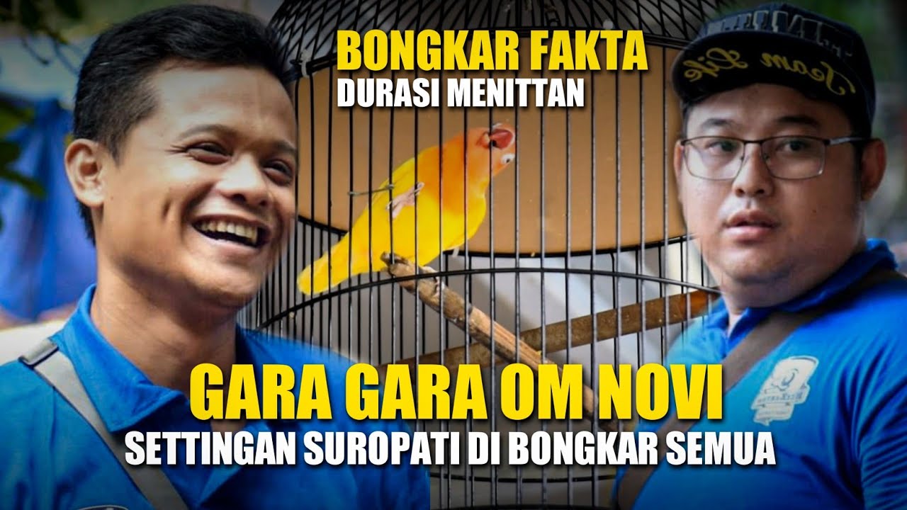 GARA-GARA OM NOVI SETTINGAN FIGHTER DURASI SUROPATI DI BONGKAR SEMUA SAMPAI KE AKAR-AKAR