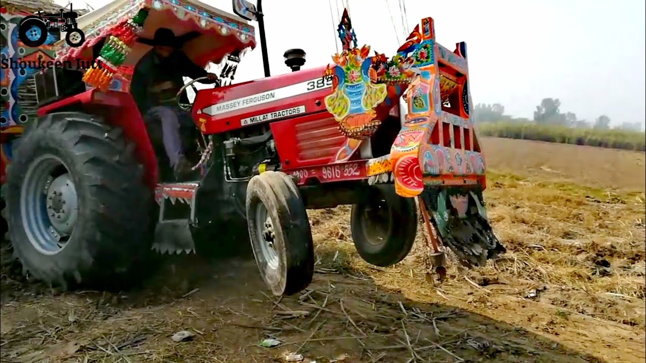 MF 385 Tractor Showing His Power With Heavy Load Of 30,000 Kg Sugarcane Trolley In Fields