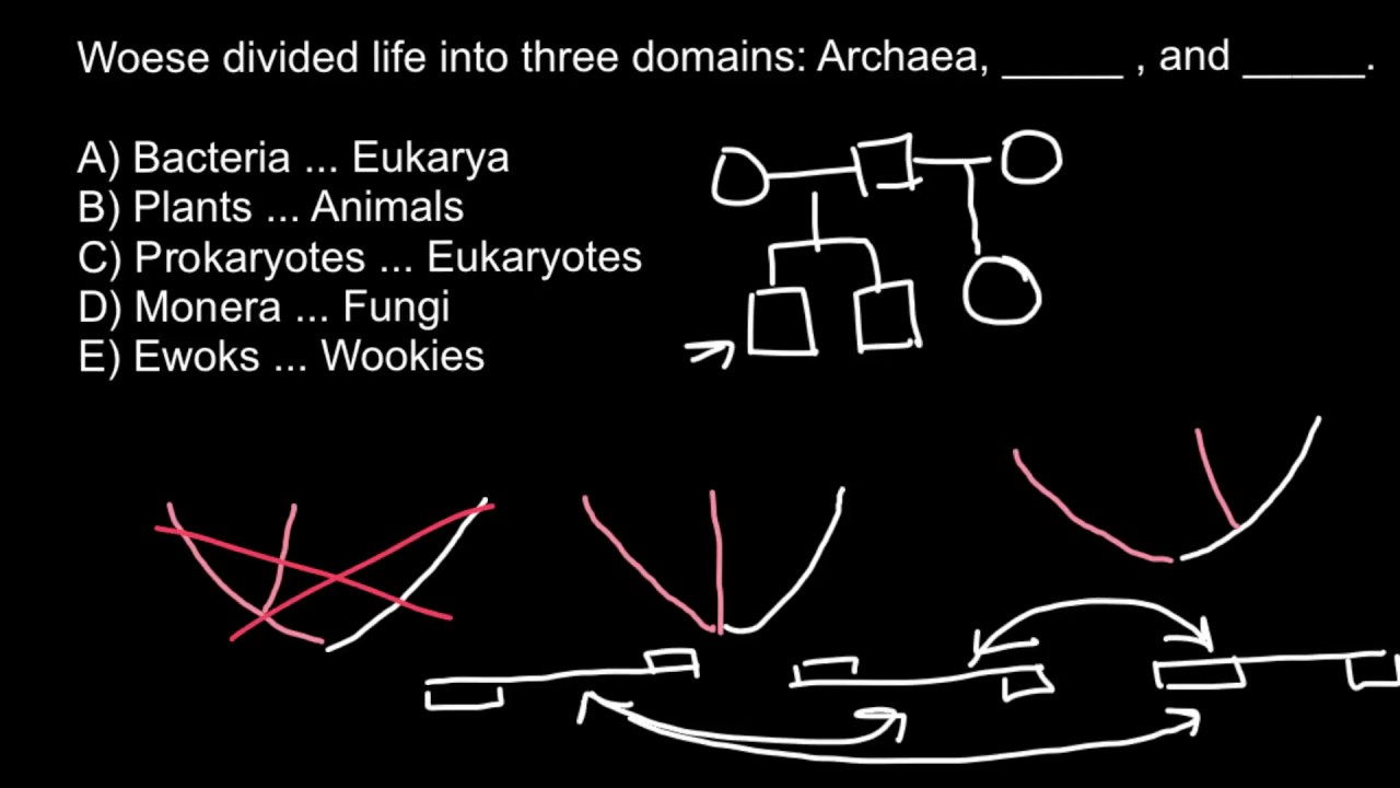 Three Domains of Life