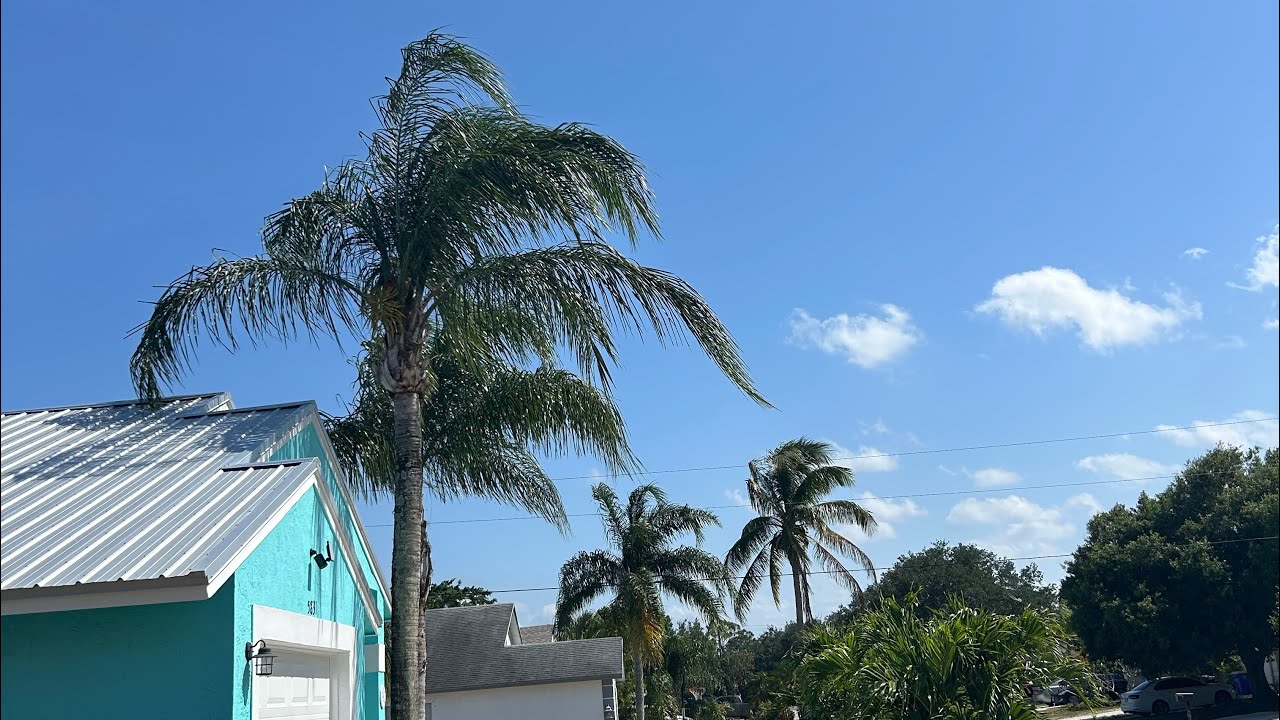 Peaceful Drive During a Beautiful Day in Florida!