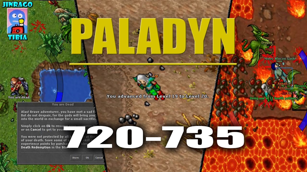 Tibia - Paladyn: Rapidy dropy tierowania i dinozaurow poszukiwania :) odc.35 Nowa Przygoda !