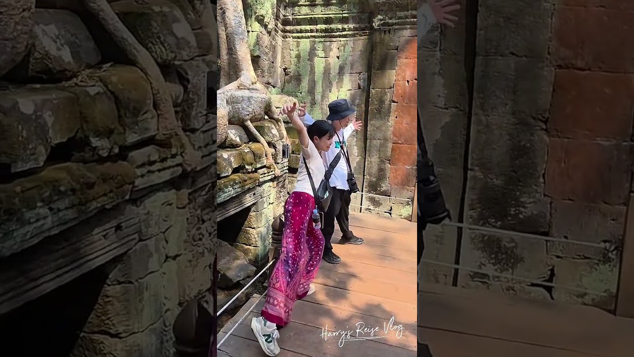 Harry's Reise Vlog 6 | Ta Prohm, Angkor / Kambodscha 