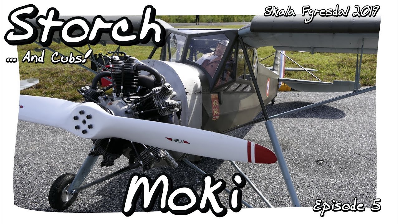 Moki Storch and Large Cubs at Skala Fyresdal 2019 (Episode 5)😁✈️