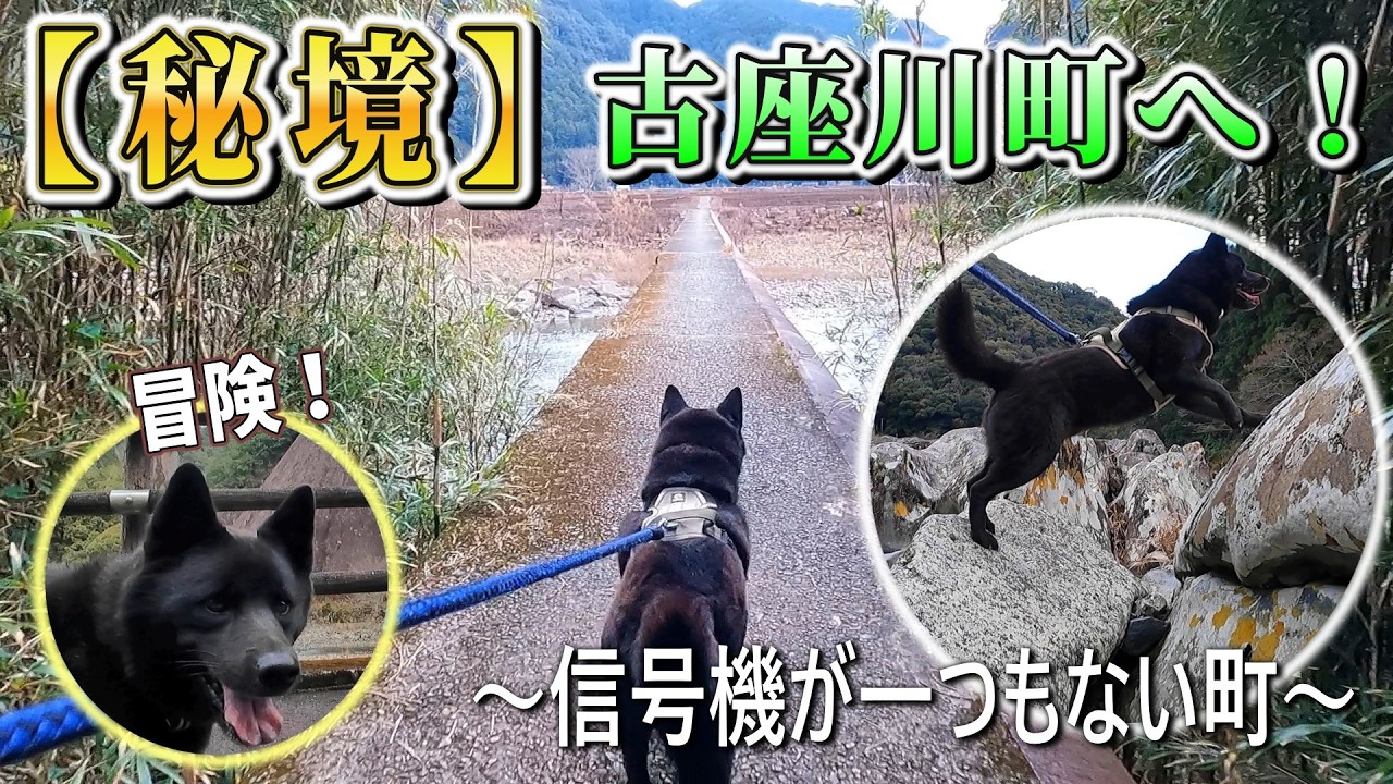 【甲斐犬】信号が一つもない町、和歌山県古座川町を散策！自然がいっぱいの秘境でした！