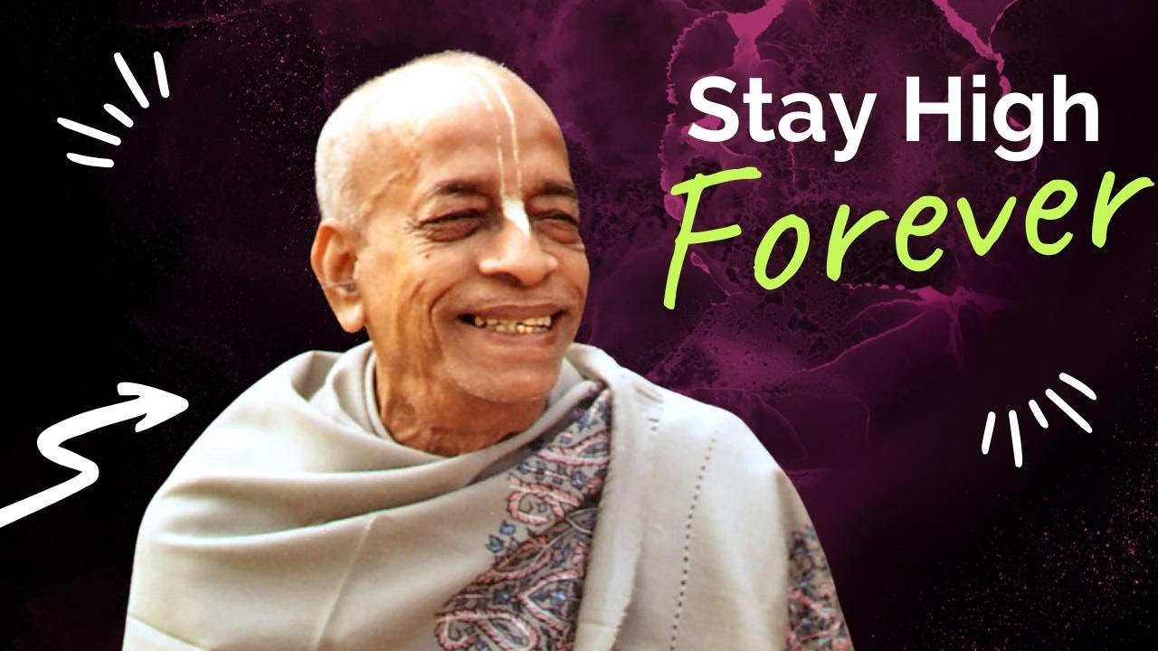 Stay High Forever