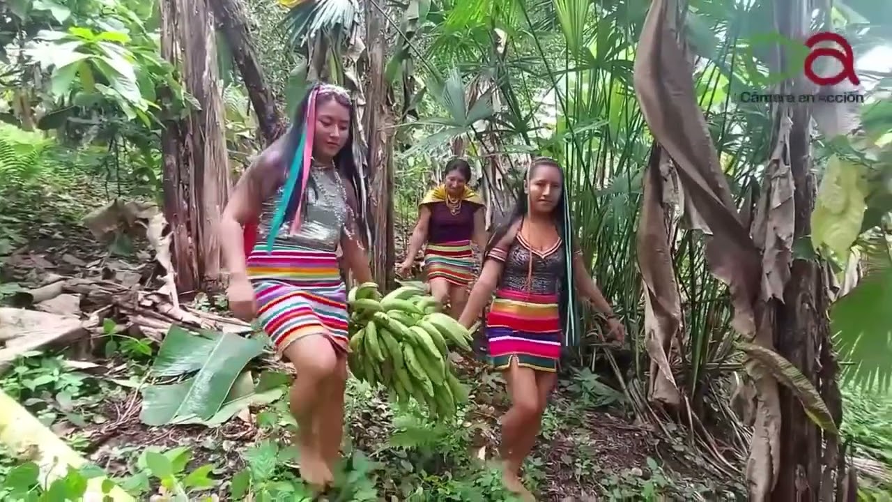 ZONA MANTAKA (el mandarina) FRANCISCO AGUAVIL