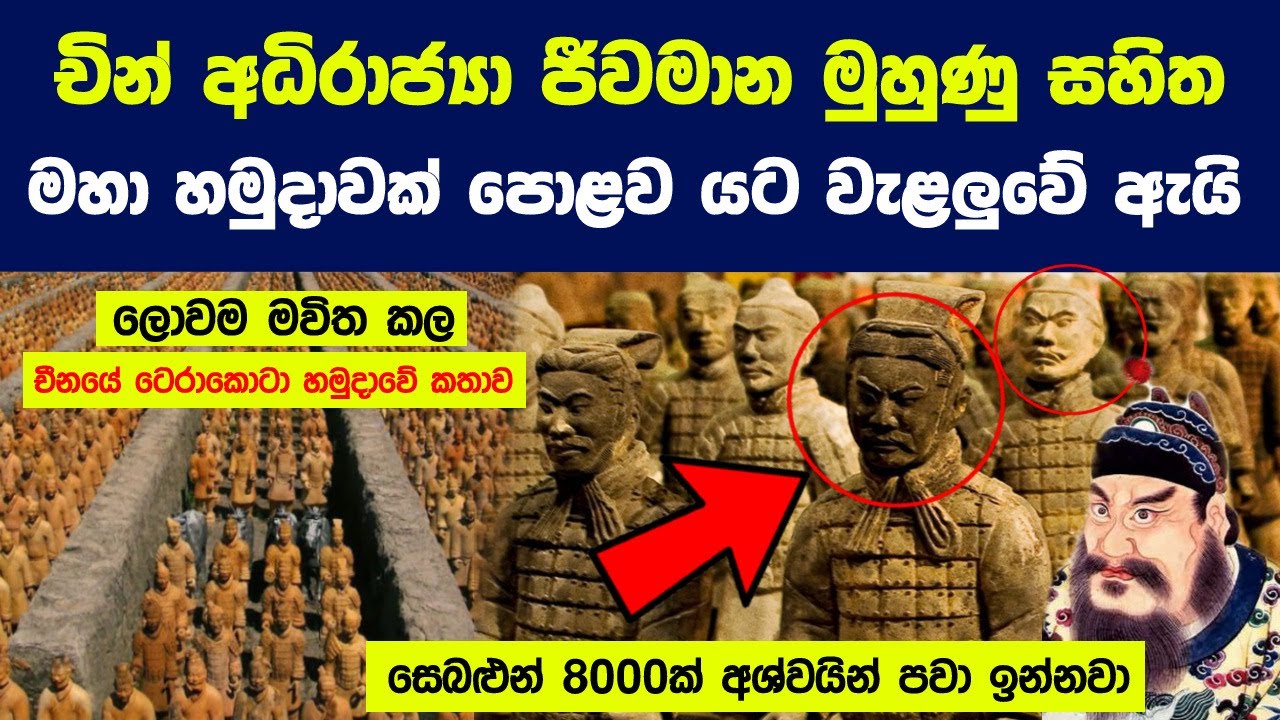 චීනය ජීවමාන මුහුණු සහිත මහා හමුදාවක් පොළව යට වැළලුවේ ඇයි ? | World's Greatest Archaeological Find