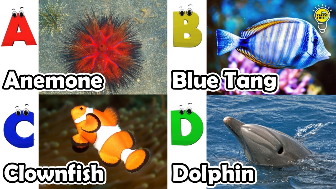 ABC phonics animals | ABC Sea Animals song | English and Animals for Kids #angelfishs