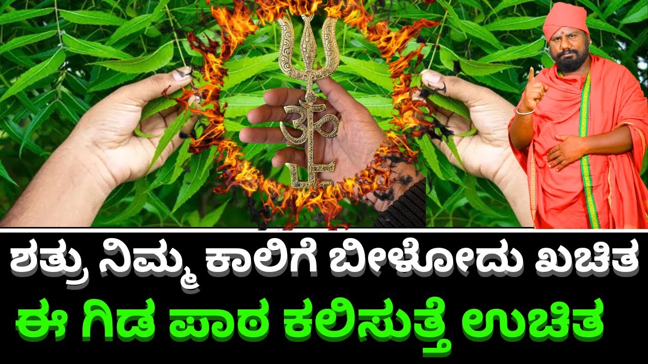 ಶತ್ರು ನಿಮ್ಮ ಕಾಲಿಗೆ ಬೀಳೋದು ಖಚಿತ ಈ ಗಿಡ ಪಾಠ ಕಲಿಸುತ್ತೆ ಉಚಿತ || GIRIDHAR BHAT || TV KANNADA