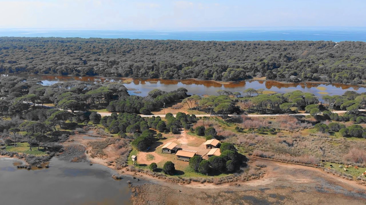 ΔΑΣΟΣ ΣΤΡΟΦΥΛΙΑΣ (DRONE). STROFYLIA FOREST AERIAL VIEW, ACHAIA, GREECE