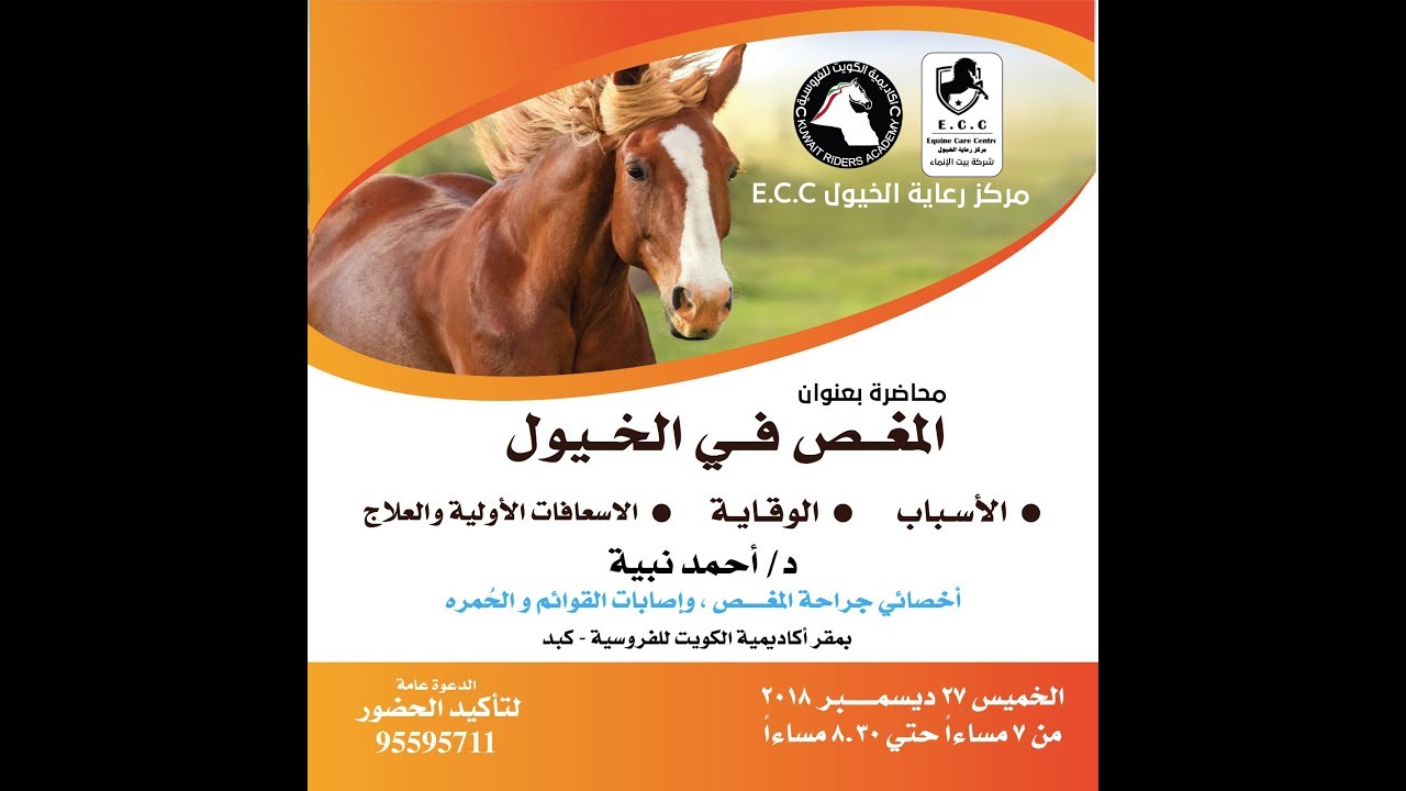 final HD