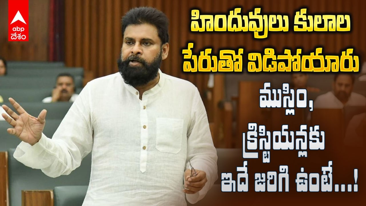 Pawan kalyan on Hinduism | తిరుమల లడ్డూ కల్తీ అయినా హిందువులు పట్టించుకోలేదన్న పవన్ కళ్యాణ్ | ABP