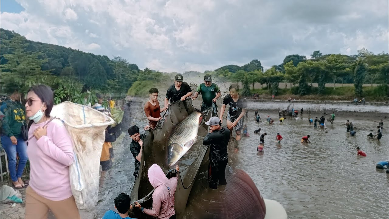 Meriah nya gepyok iwak ll dapat ikan sekarung