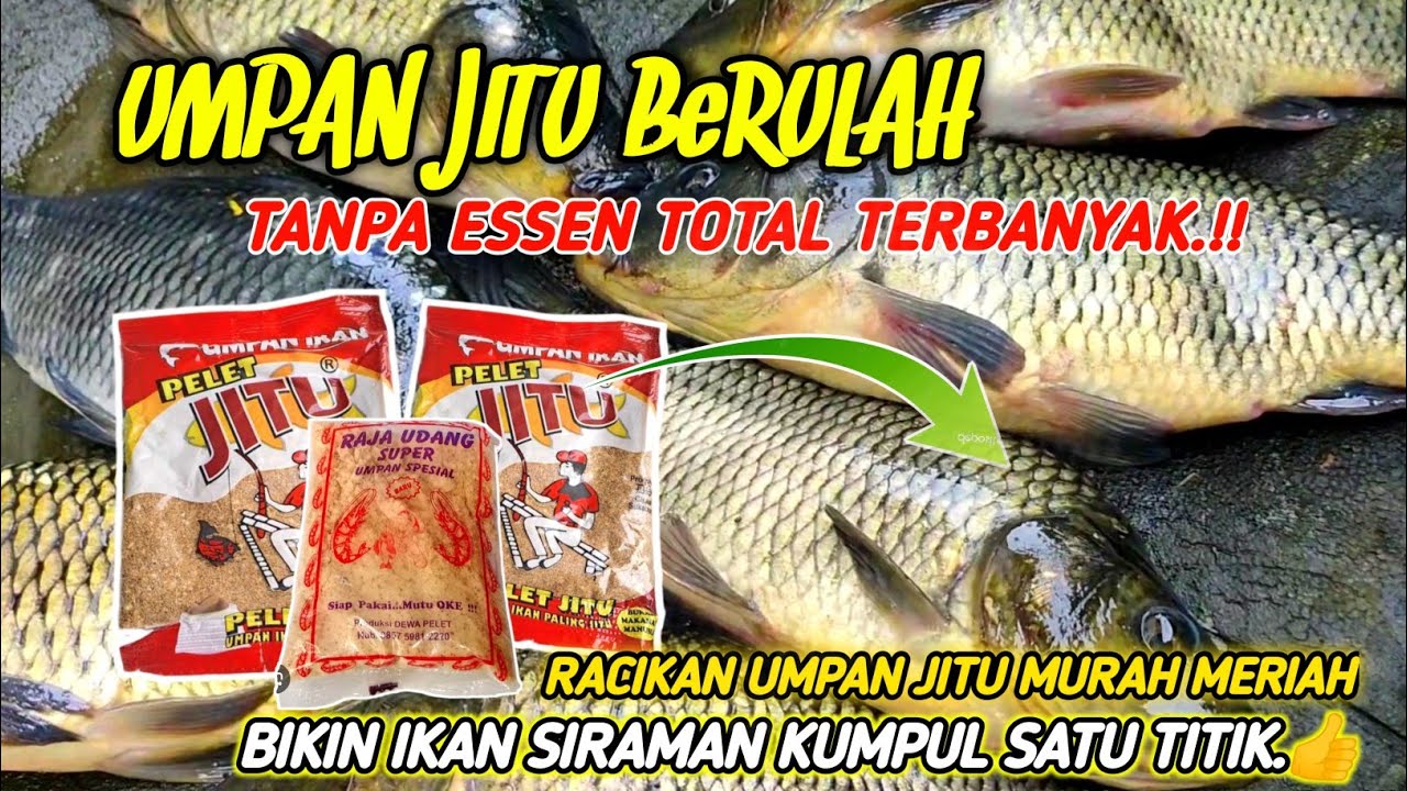 GANASNYA UMPAN DADAKAN PELET JITU‼️RACIKAN UMPAN MURAH MANCING IKAN MAS SUSAH MAKAN