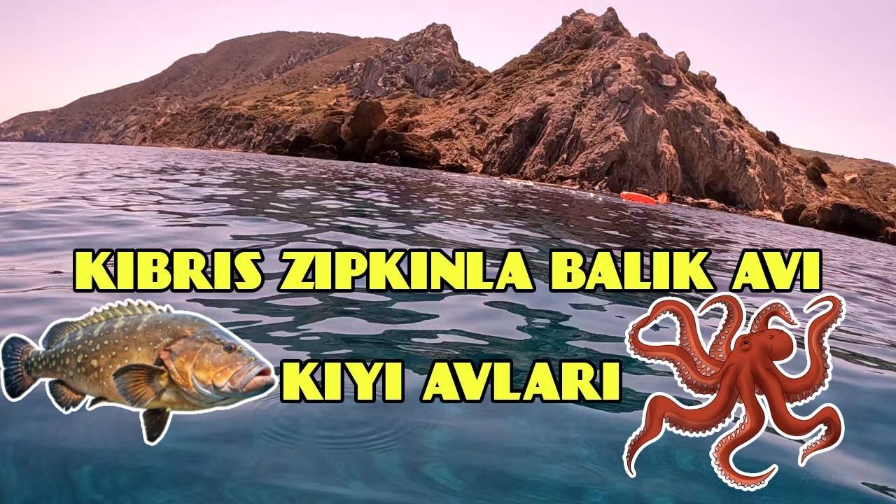 Cyprus Spearfishing KKTC Zıpkınla Balık Avı Kıyı Avları