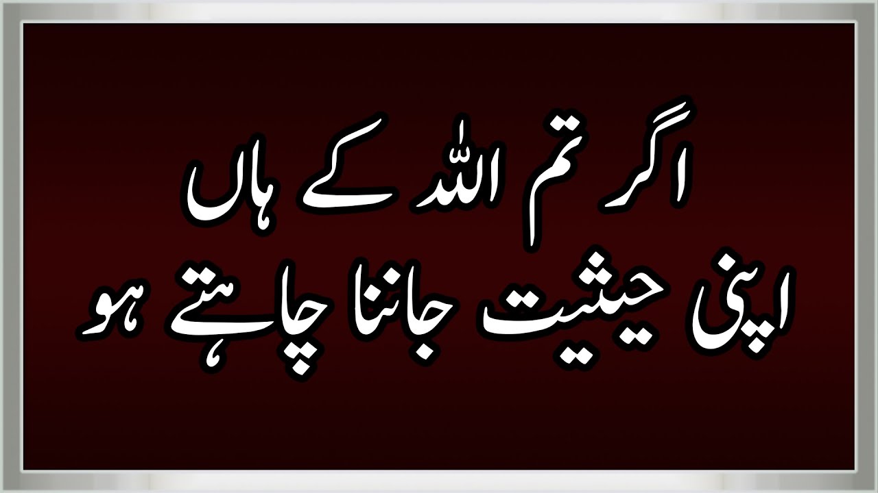 Best Islamic Quotes About Allah And His Mercy || Quotes Planet